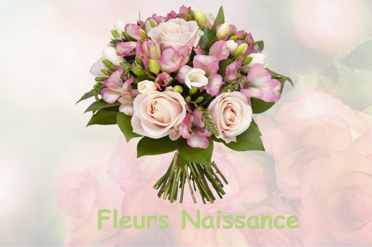 fleurs naissance SAINT-CLAUDE-DE-DIRAY